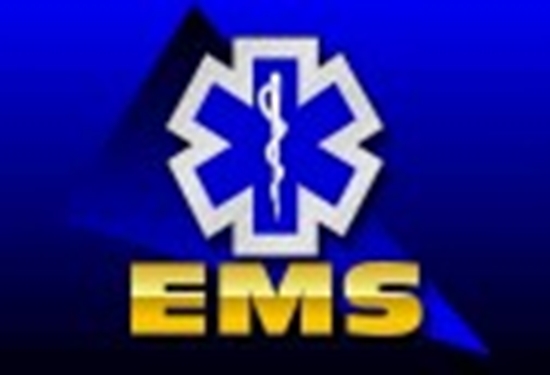 ems-3-logo-poster-126x86 